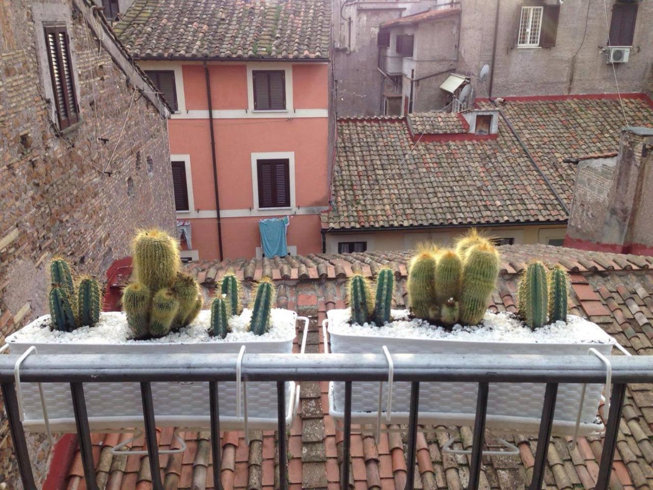 Bbhomerome - Campo Dei Fiori Balcony View Penthouse 외부 사진
